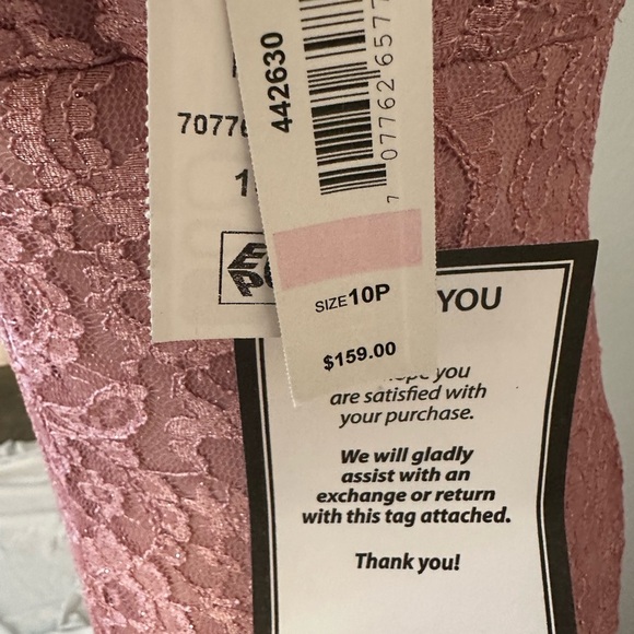 R&M Richards Mauve Lace Formal or Mother of the Bride Gown - Picture 6 of 8